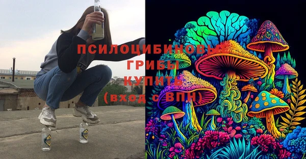 мдпв Волосово